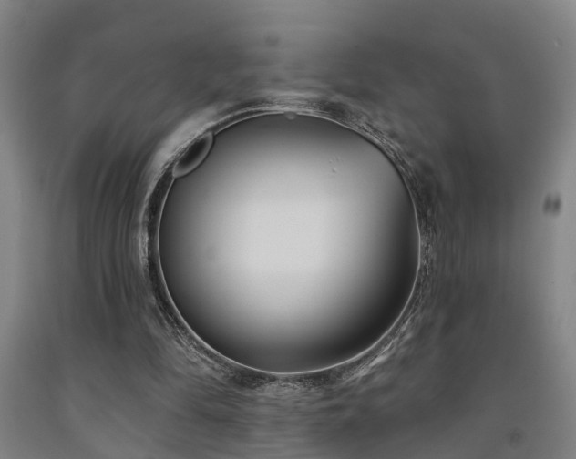 X0000093090294200709261234