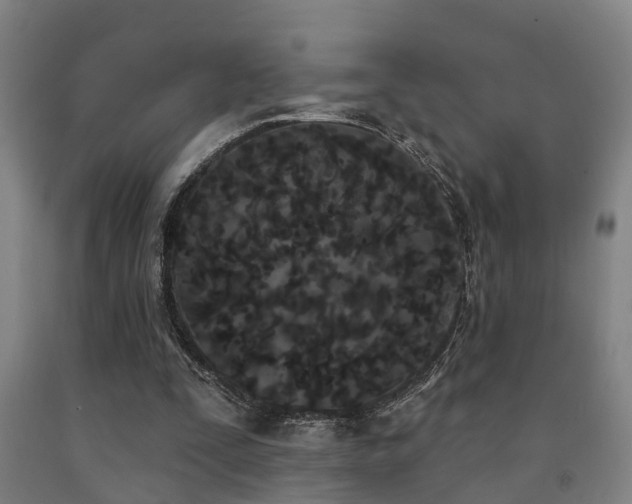 X0000093090295200709261234