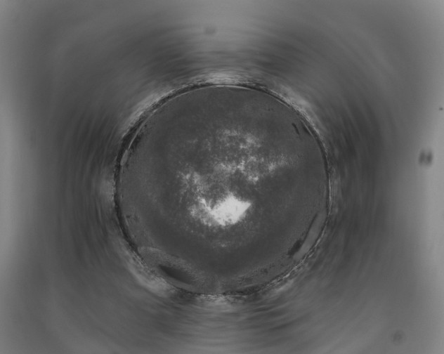 X0000093090297200709261234