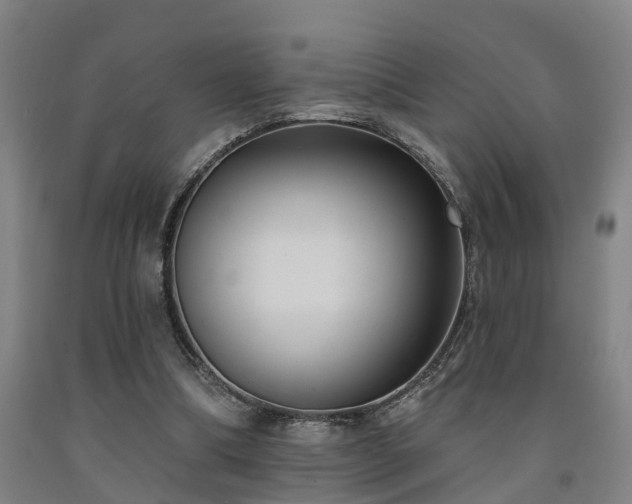 X0000093090298200709261234