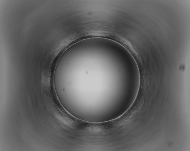 X0000093090299200709261234