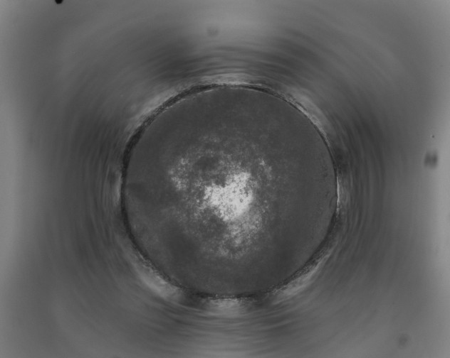 X0000093090301200709261234