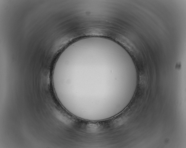 X0000093090302200709261234