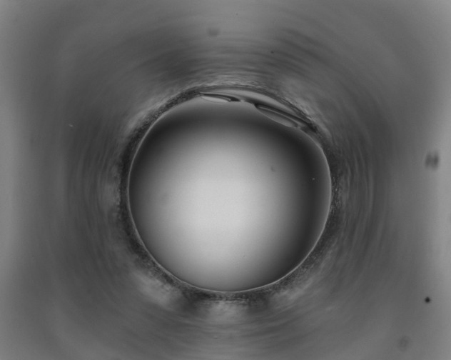 X0000093090303200709261234