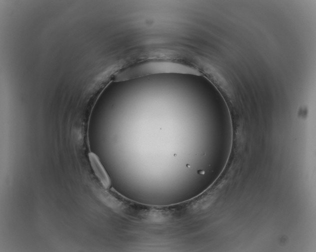 X0000093090305200709261234