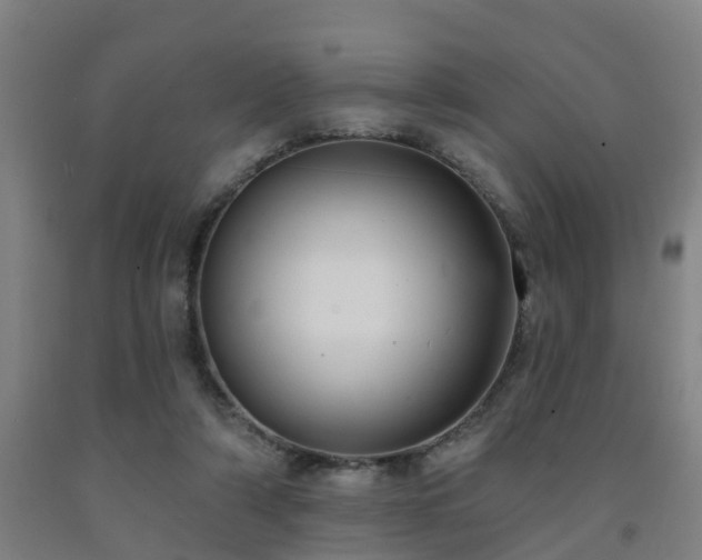 X0000093090306200709261234