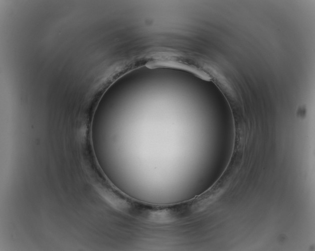 X0000093090309200709261234