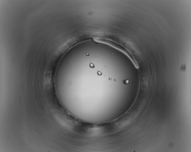 X0000093090312200709261234