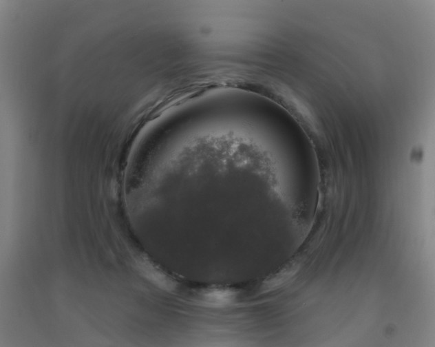X0000093090313200709261234