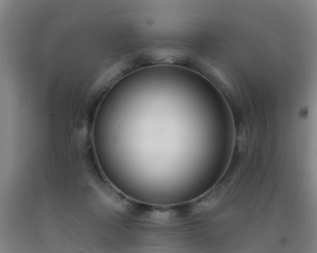 X0000093090314200709261234