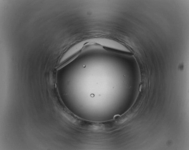 X0000093090317200709261234