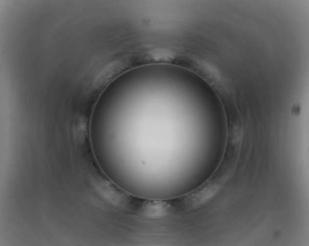 X0000093090321200709261234