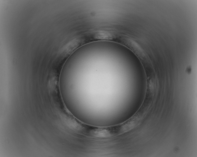 X0000093090322200709261234