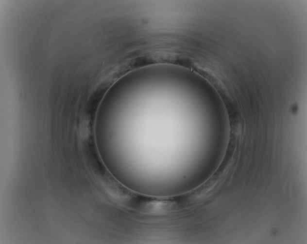 X0000093090323200709261234