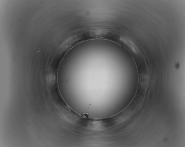 X0000093090324200709261234