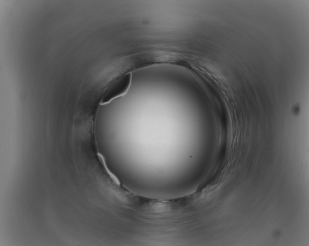 X0000093090325200709261234