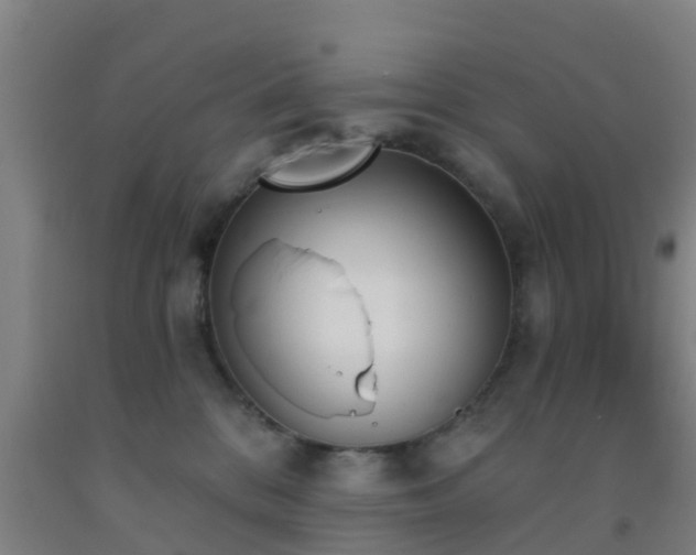 X0000093090328200709261234