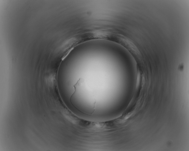 X0000093090329200709261234