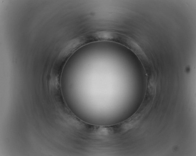 X0000093090330200709261234
