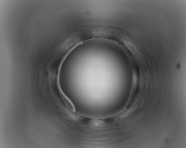 X0000093090333200709261234