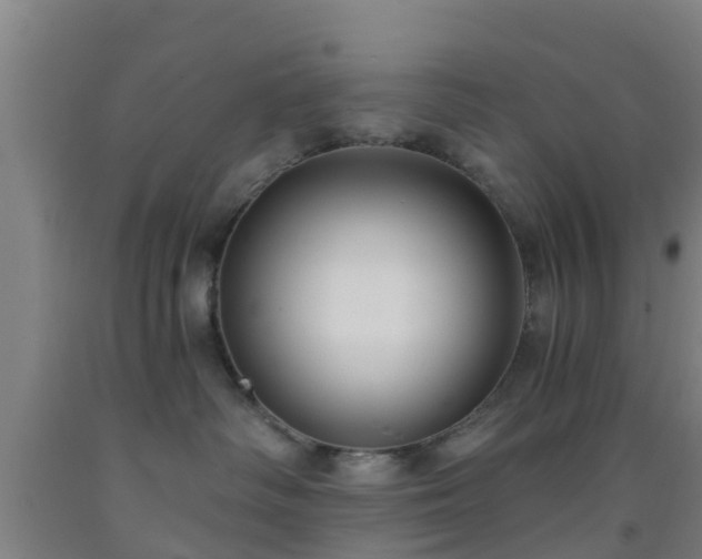 X0000093090334200709261234
