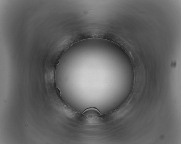 X0000093090336200709261234