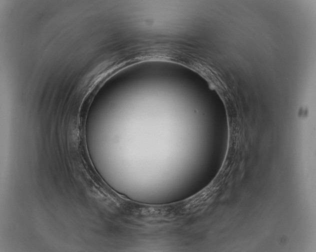 X0000093090338200709261233
