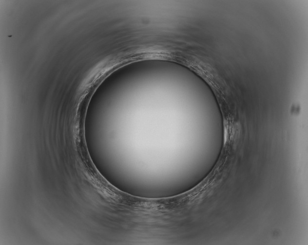 X0000093090339200709261233