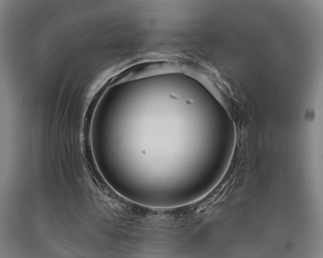X0000093090340200709261233