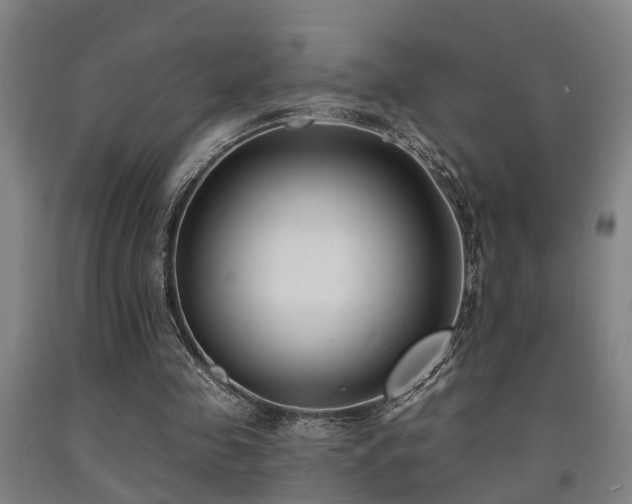 X0000093090341200709261233