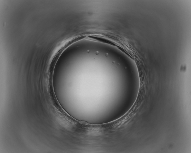 X0000093090342200709261233