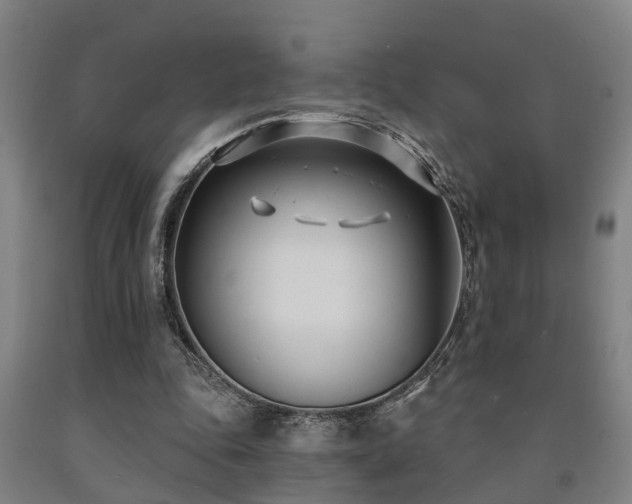 X0000093090343200709261233