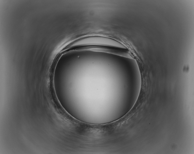 X0000093090344200709261233