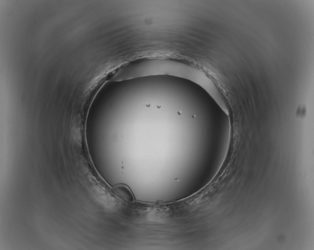 X0000093090345200709261233