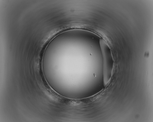 X0000093090346200709261233
