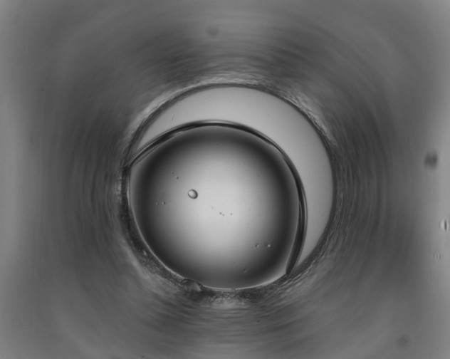 X0000093090348200709261233