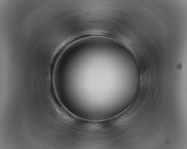 X0000093090349200709261233