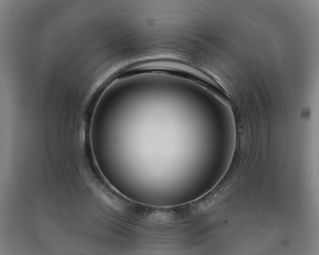 X0000093090350200709261233