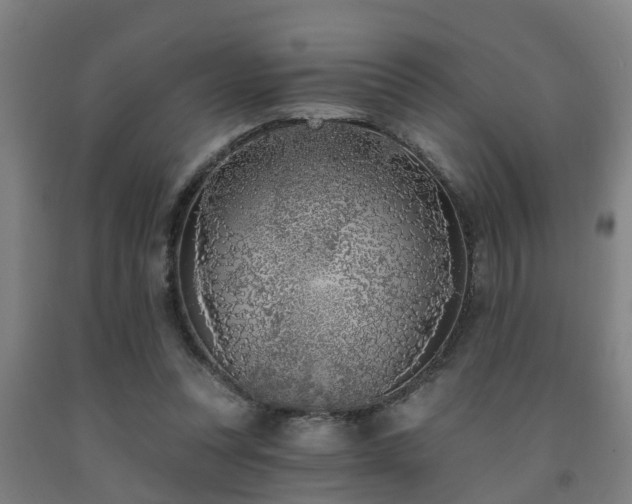 X0000093090351200709261234