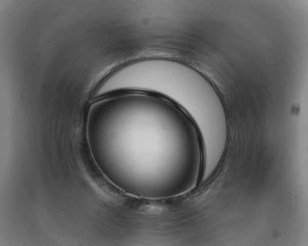 X0000093090352200709261234