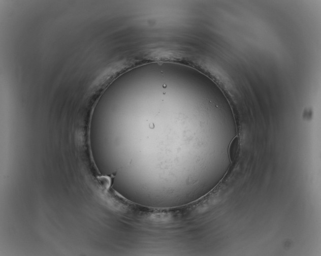 X0000093090353200709261234