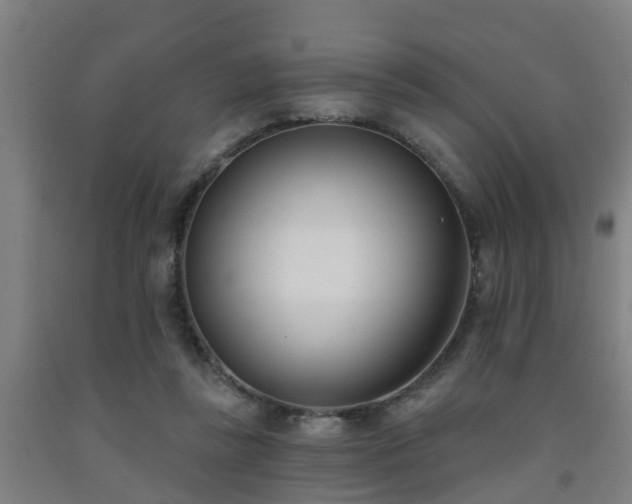 X0000093090355200709261234