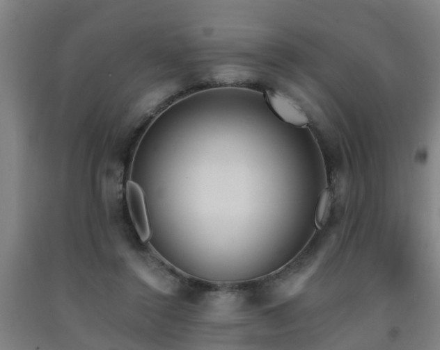 X0000093090356200709261234