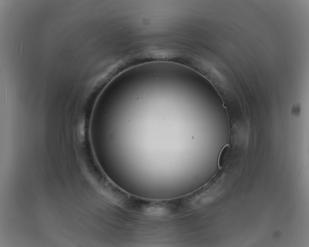 X0000093090358200709261234