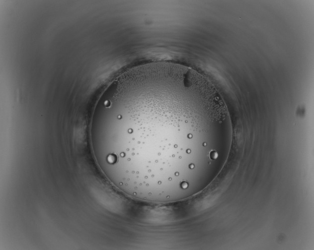 X0000093090359200709261234