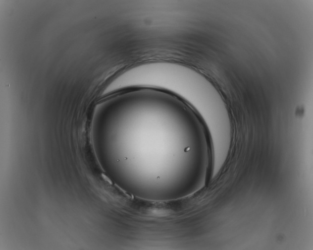 X0000093090360200709261234