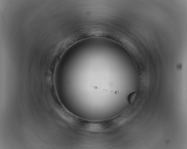 X0000093090361200709261234