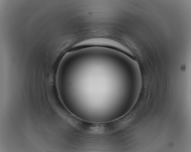 X0000093090362200709261234