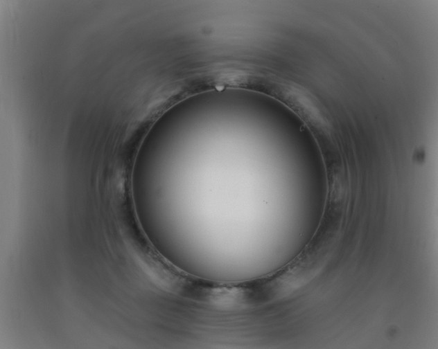X0000093090363200709261234
