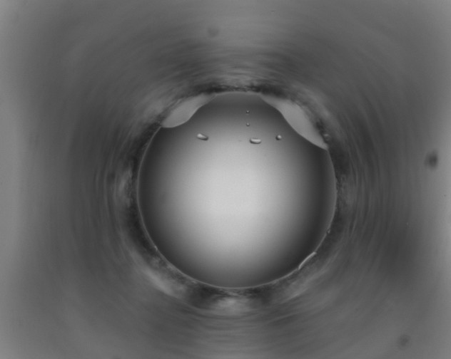 X0000093090364200709261234